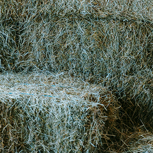 hösilage